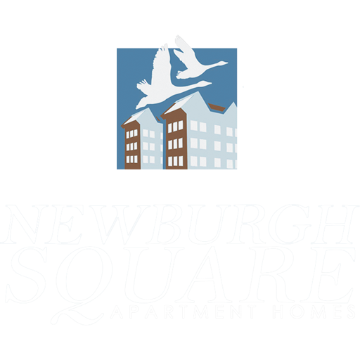 Lassiter at North Hills, Apartments for Rent in Raleigh, NC